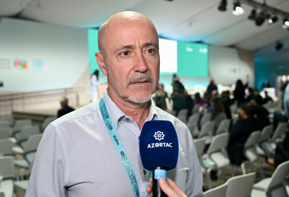BMT-nin Məskunlaşma Proqramının Koordinatoru: Bakı digər şəhərlər üçün model məkana çevrilə bilər
