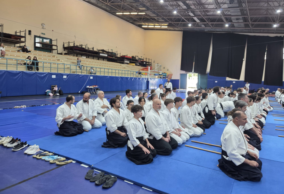 Мастера айкидо из Азербайджана - на спортивном фестивале в Анкаре