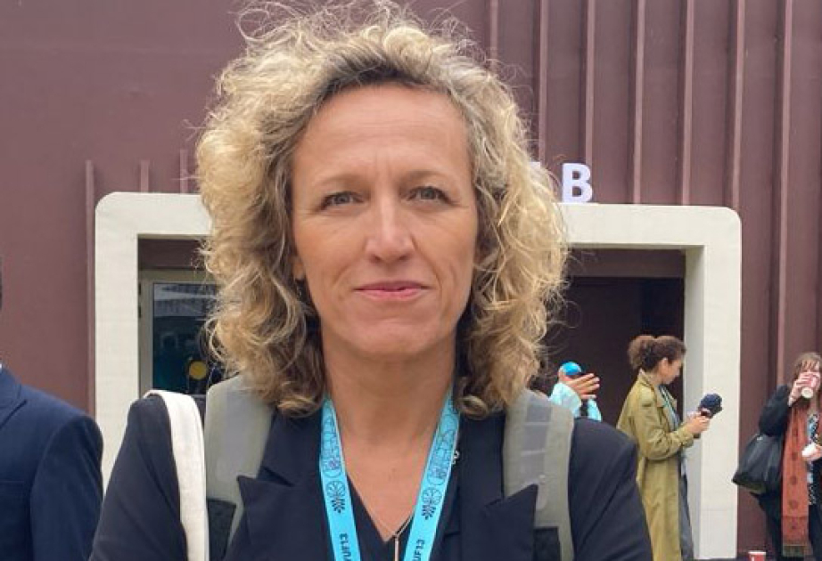 UN-Habitat-ın nümayəndəsi: Azərbaycan şəhərsalma sahəsində mühüm rola malik ola bilər