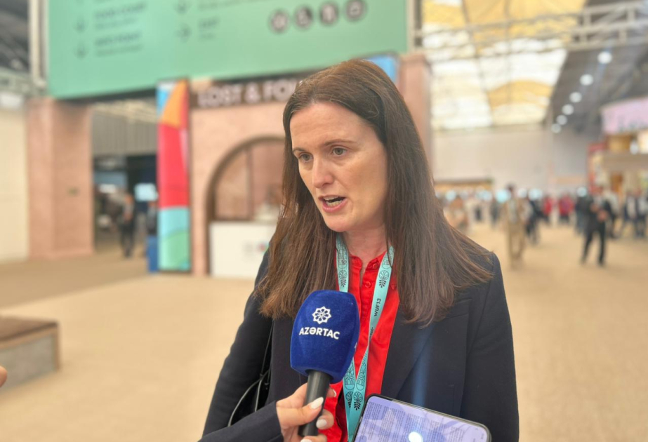 Director for Cities, Planning and Design at Arup: Azerbaijan’s role in sustainable urban development is steadily increasing
