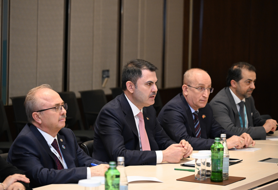 Zeynəb Ongankul: Qarabağda həyata keçirilən “ağıllı şəhər” layihələri dünya üçün maraqlı təcrübədir