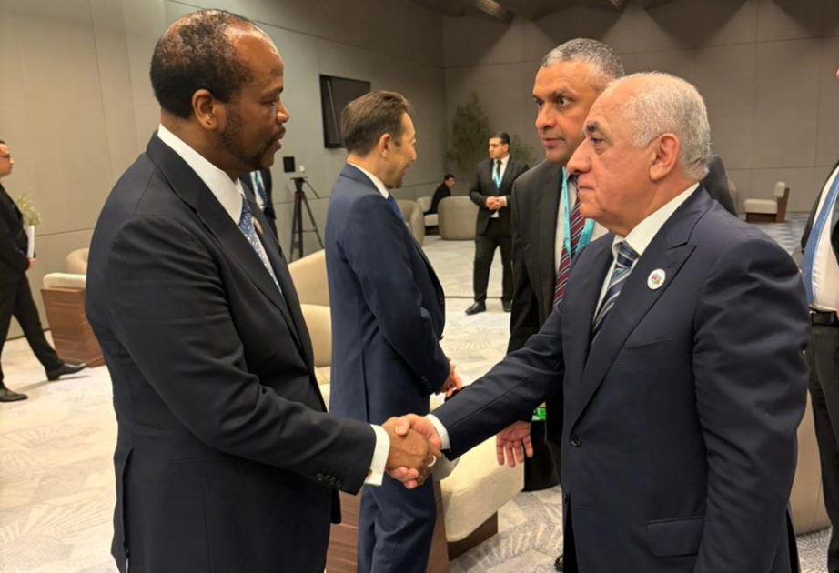 WUF13: Premierminister Ali Asadov hält mehrere Treffen ab