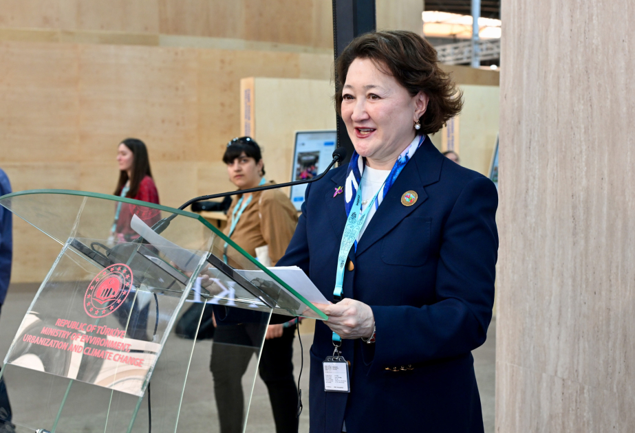 Aktoty Raimkulova: Urbanization undoubtedly brings development and modernization