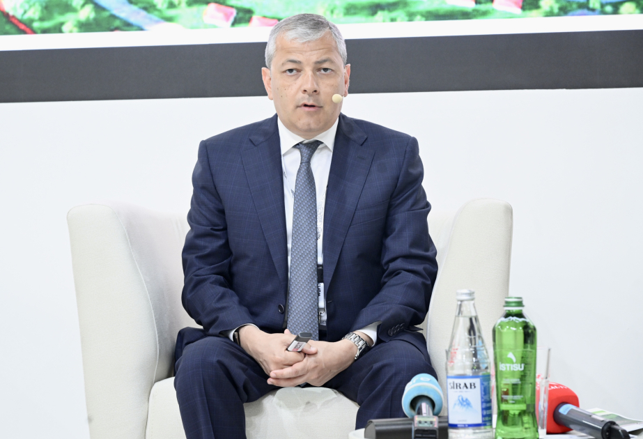 Prezidentin xüsusi nümayəndəsi: Şuşada 27 tarixi abidə bərpa olunub