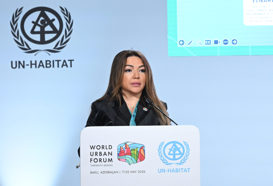 Aygün Əliyeva: İnklüziv cəmiyyətin formalaşmasında vətəndaş cəmiyyəti institutlarının iştirakı xüsusilə mühüm rol oynayır