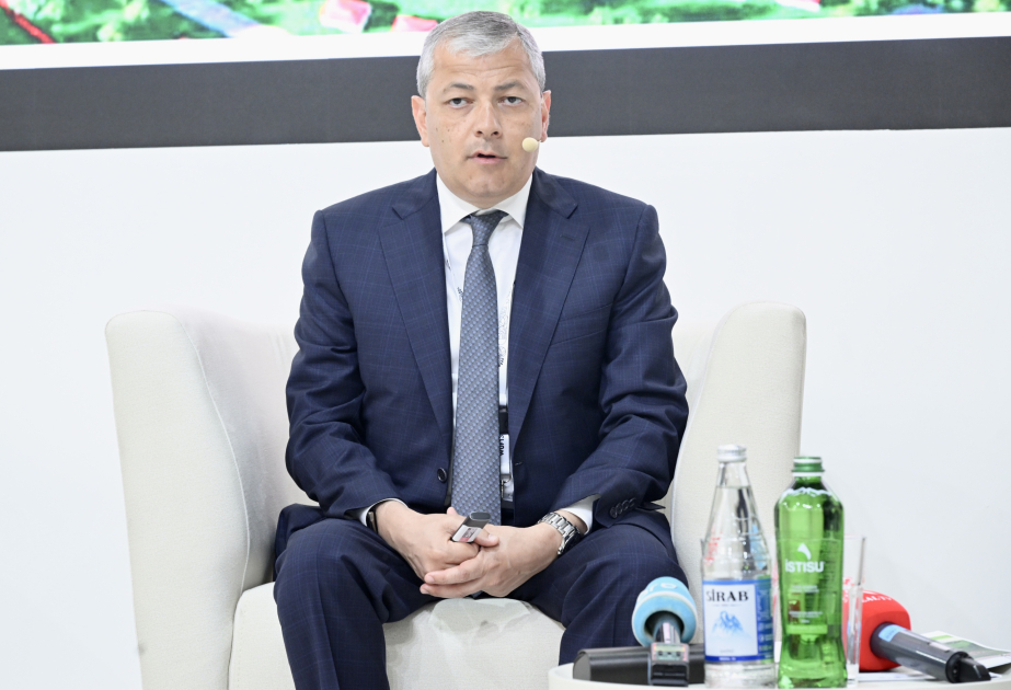 Aydın Kərimov: Şuşa ilə qardaşlaşmış şəhərlərin sayı 10-a çatacaq
