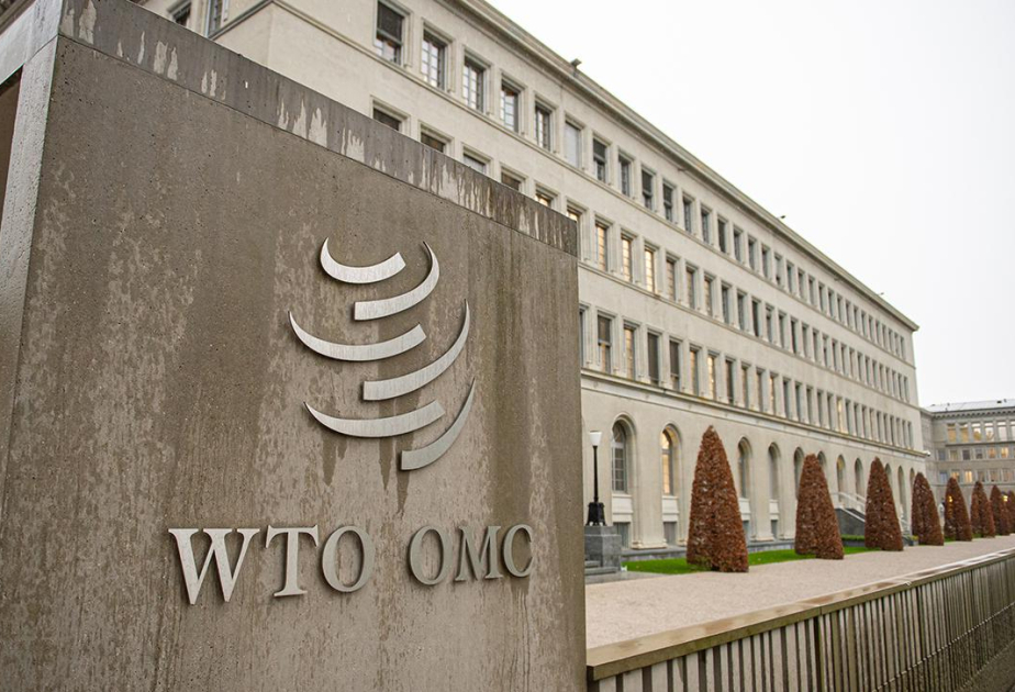 WTO chief warns global trading system faces largest disruptions in 80 years