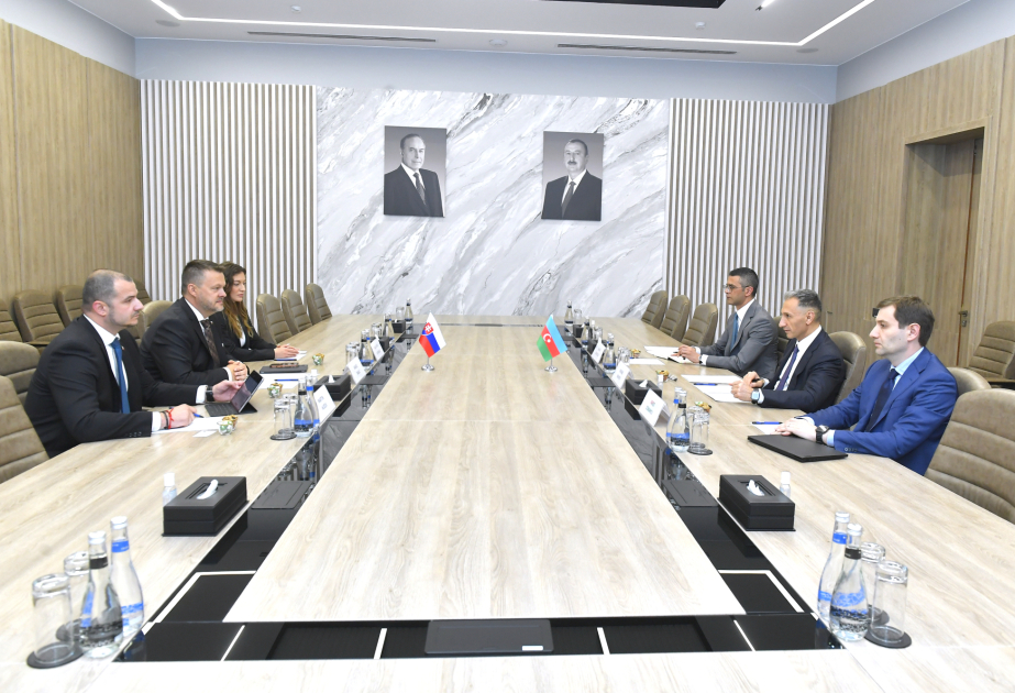Slovakiya ilə rəqəmsallaşma, innovasiya və şəhərsalma sahəsində əməkdaşlıq məsələləri nəzərdən keçirilib