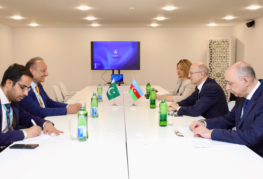 Azerbaijan, Pakistan review issues on agenda for developing cooperation in energy sector