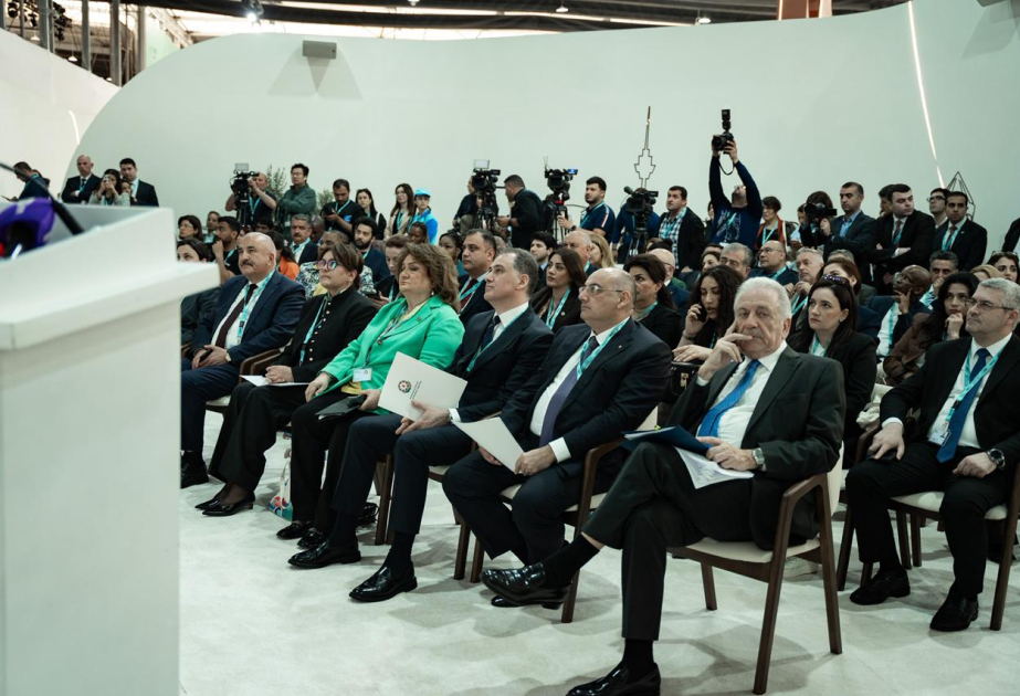 WUF13 çərçivəsində “Erkən xəbərdarlıq və iqlimədayanıqlı şəhərlər” mövzusunda tədbir olub
