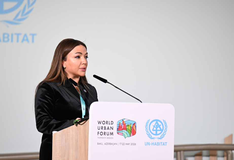 Aygün Əliyeva: Son illərdə Azərbaycan vətəndaş cəmiyyəti sahəsində mühüm beynəlxalq təşəbbüslərin formalaşdığı məkana çevrilib