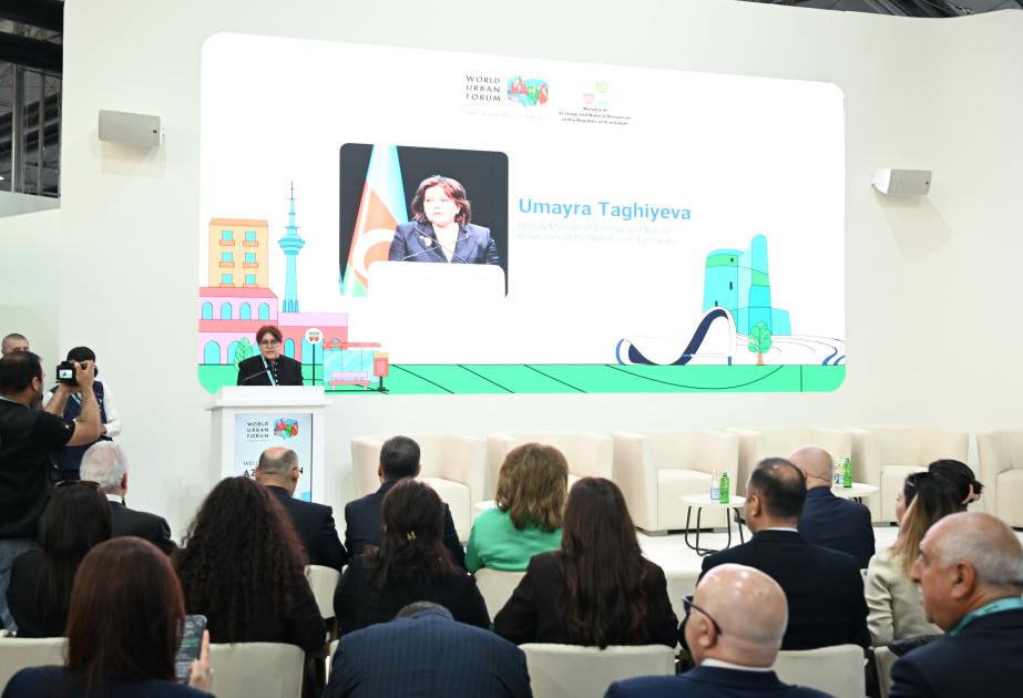 Deputy Minister: Early warnings can significantly reduce casualties and infrastructure damage