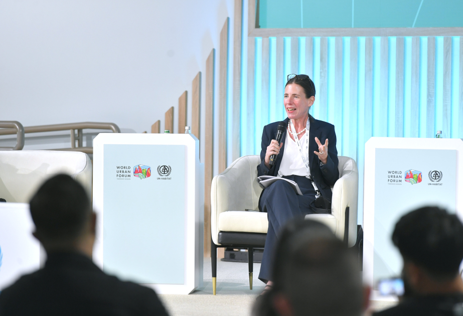 UNDP Deputy Director: We must regard housing as a social function