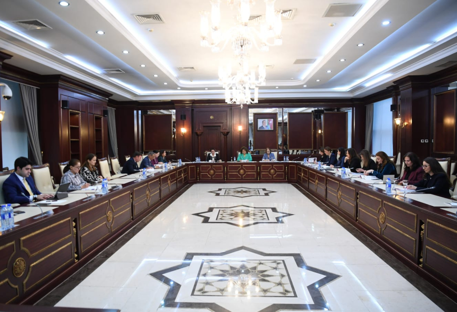 Milli Məclisin Ailə, qadın və uşaq məsələləri komitəsində 2025-ci il üzrə hesabat dinlənilib
