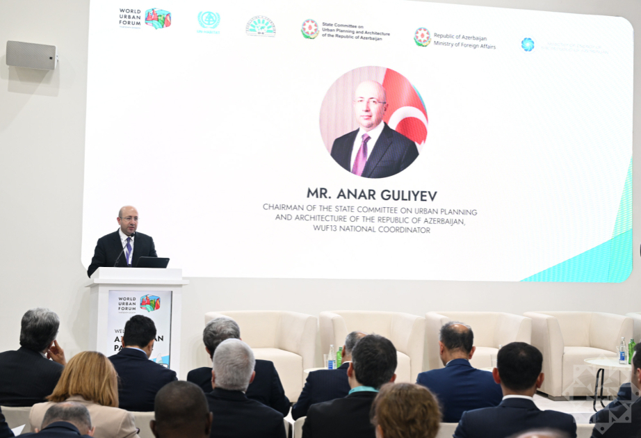 Официальные лица D-8 провели на WUF13 диалог по устойчивым городам и энергетическому переходу -  ОБНОВЛЕНО