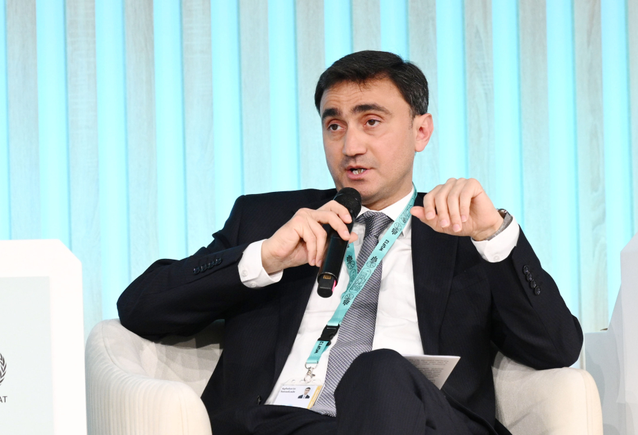 Ağakərim Səmədzadə: Bakı və Sumqayıtda iqlim adaptasiyası məqsədilə yaşıl sahələrin genişləndirilməsi mühümdür
