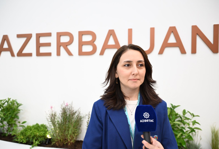 WUF13 rəsmisi: Azərbaycan pavilyonuna maraq getdikcə artır