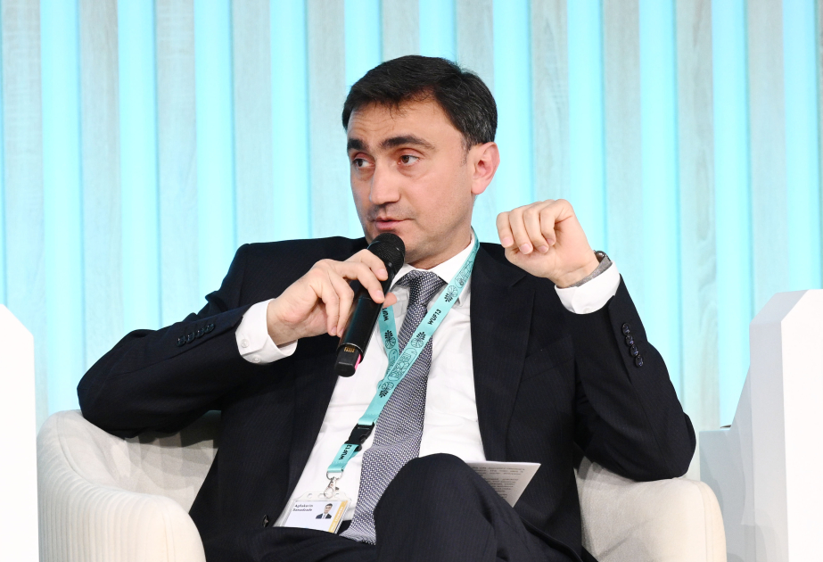 Nazir müavini: Təbiət əsaslı həllər şəhərsalma siyasətinin ayrılmaz hissəsinə çevrilməlidir
