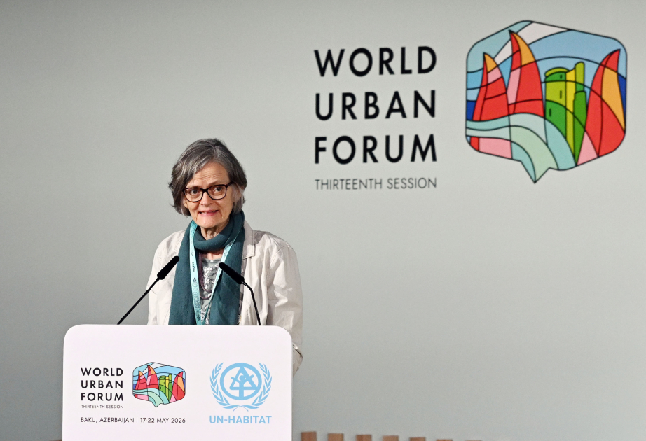 Professor at Wits University in South Africa: Informal settlements problem also exists in megacities