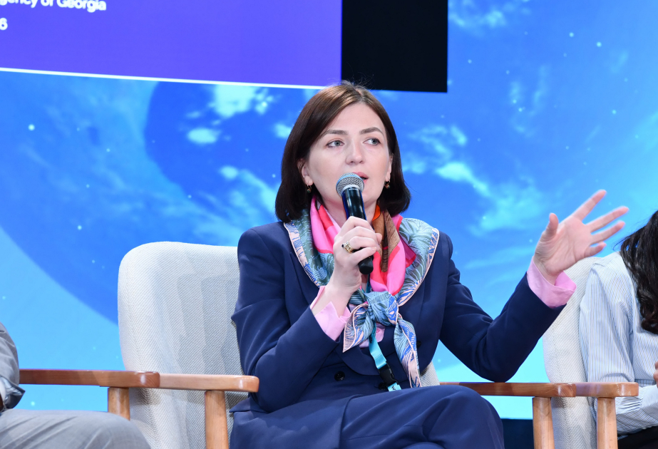 Tina Teen: Gürcüstanda iqtisadi artımın böyük hissəsi Tbilisinin payına düşür