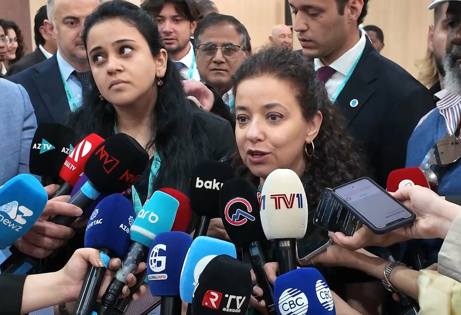 Dima Al-Khatib: BMT-nin Cənub-Cənub Əməkdaşlığı üzrə Ofisi Qlobal Cənub QHT Platforması ilə sıx əməkdaşlıq edəcək