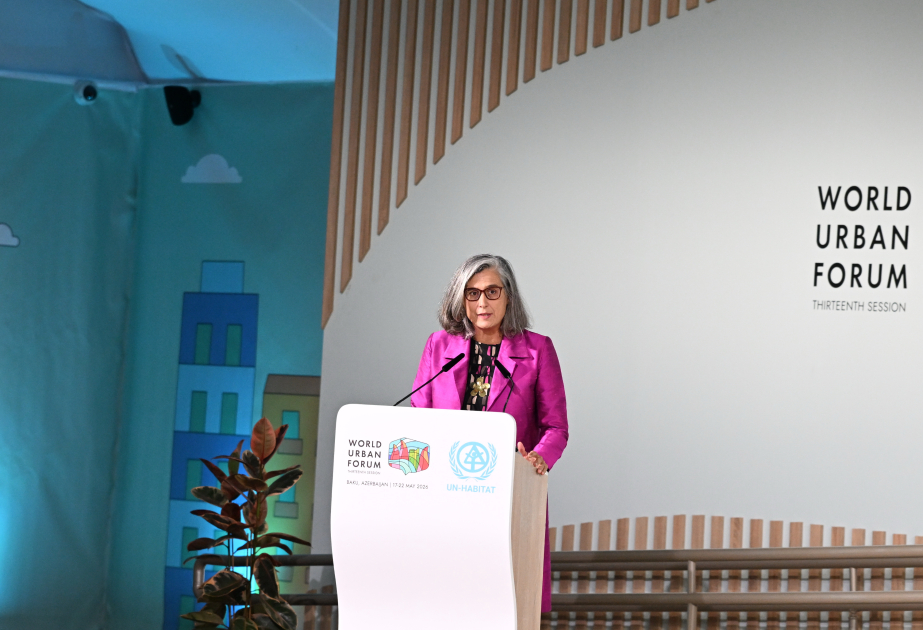 Anacláudia Rossbach: Decrease in aid allocated to UN humanitarian actions is a serious warning signal