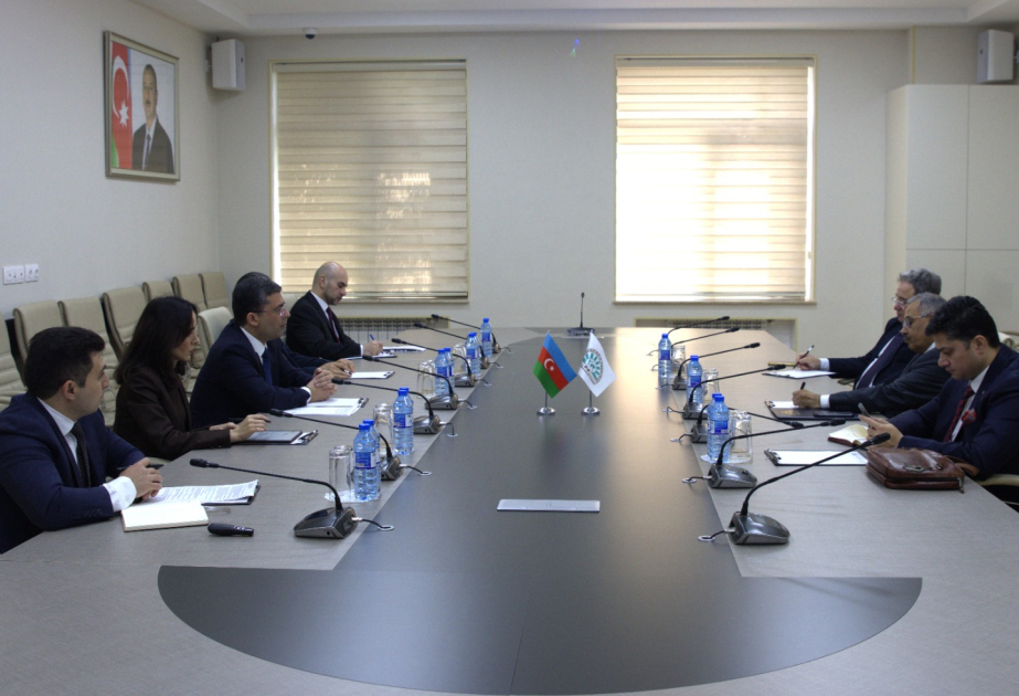 Cooperation between Azerbaijan and D-8 expands in media literacy and information security