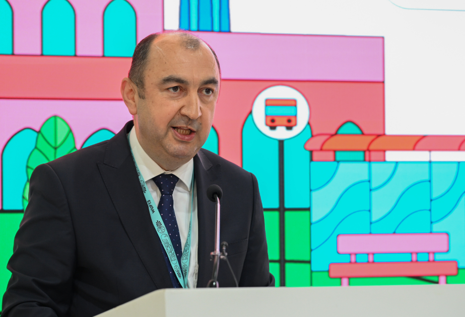 Nazir müavini: 2060-cı ilə qədər plastik tullantıların həcmi 3 dəfə arta bilər