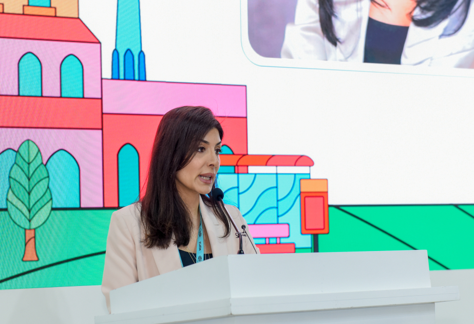 Nigar Arpadarai: Plastik çirklənmə israfçı inkişaf modelinin ən görünən əlamətlərindən biridir