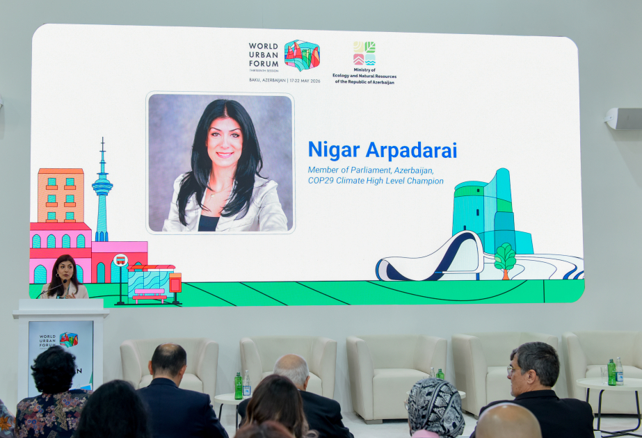 Nigar Arpadarai: Cities must transform into innovation labs