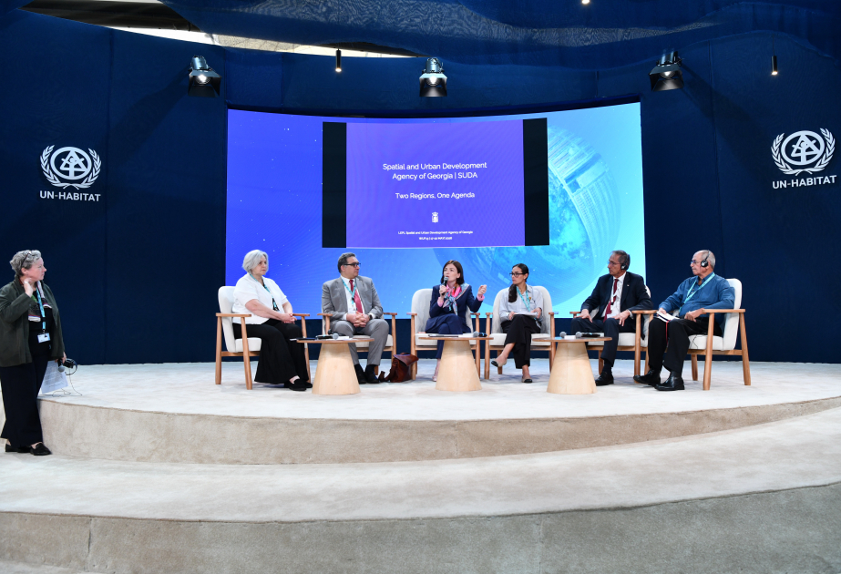 Challenges faced by cities and their solutions discussed at WUF13
