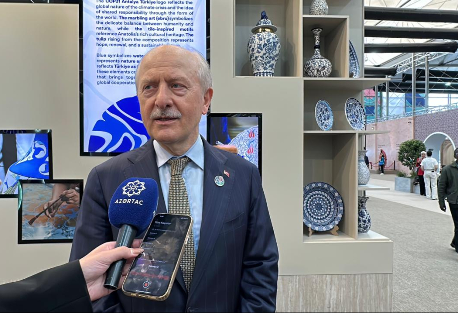 Hasan Suver: Mükəmməl təşkilatçılığa görə, Azərbaycanı təbrik edirik
