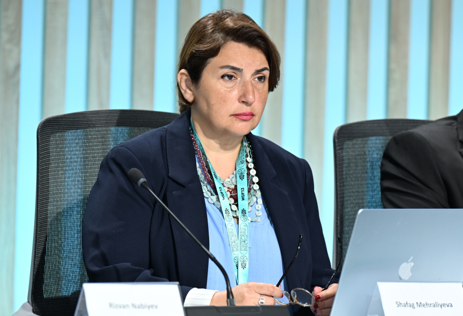 Şəfəq Mehrəliyeva: Qlobal təşəbbüslərin cəmiyyətə çatdırılmasında medianın peşəkarlığı xüsusi əhəmiyyət daşıyır VİDEO
