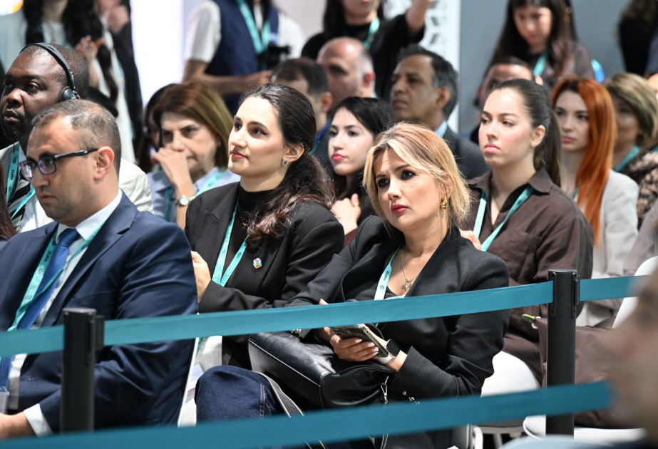Siyasi şərhçi: WUF13 Azərbaycanın qlobal şəhərsalma və dayanıqlı inkişaf gündəliyində artan rolunu göstərir