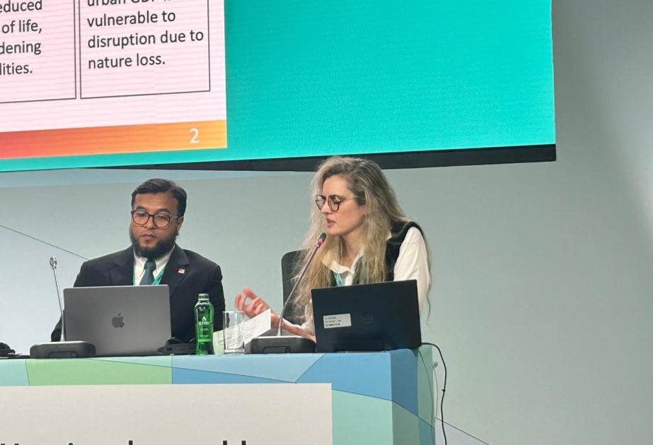 OECD official highlights importance of nature-based solutions for sustainable cities