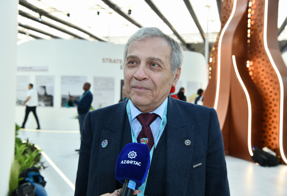 Türk professor: Bizim ortaq dəyərimiz həyat, gözəl yaşayış, mədəniyyət və qardaşlıqdır
