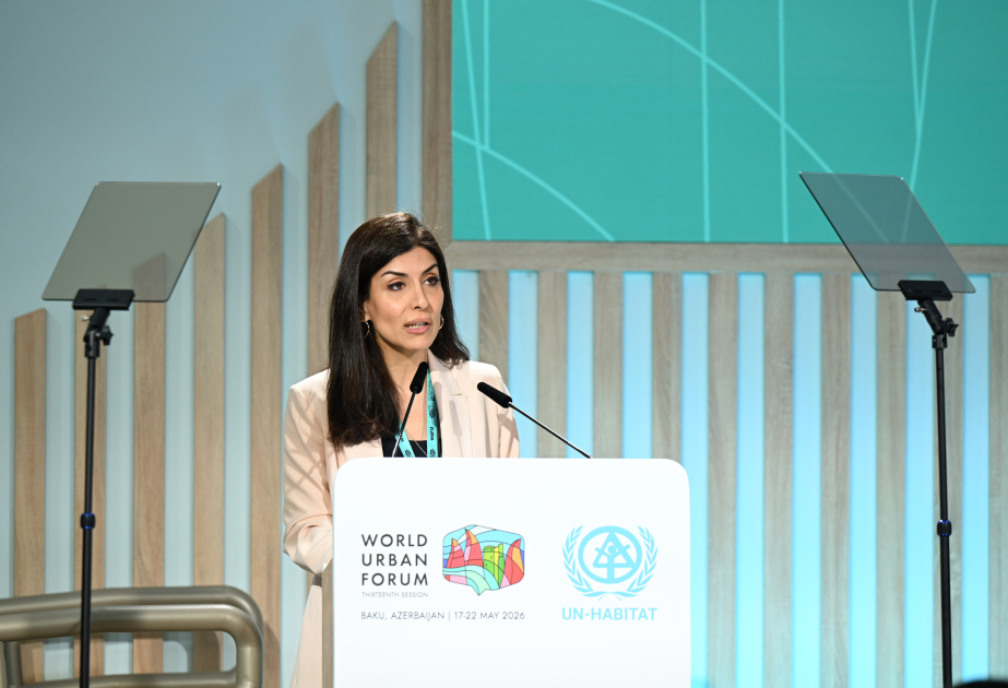 Nigar Arpadarai: Media plays a crucial role in objective and rapid information exchange in urban development