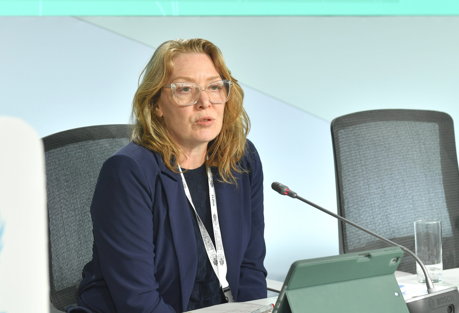 UN representative: There is enough money in the world, the key problem is the lack of access to these funds