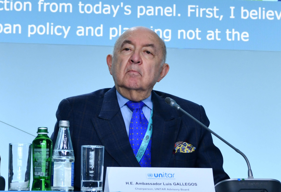 UNITAR representative: Water infrastructure should be accessible to everyone