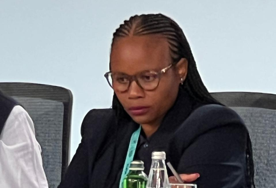 Mayor of South African city of Tshwane: Infrastructure needs to be strengthened to develop the economy