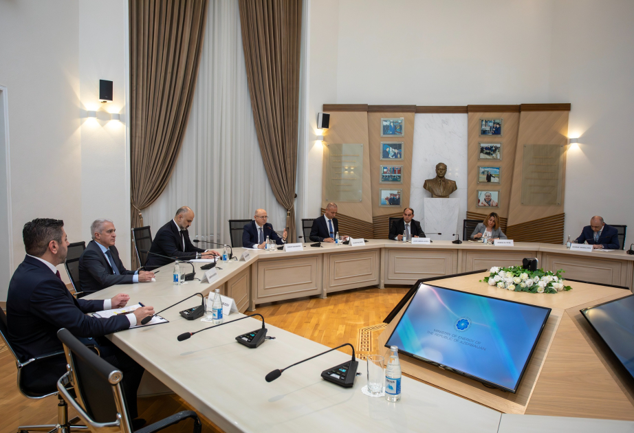 Cooperation opportunities with World Bank in energy sector evaluated across several fields