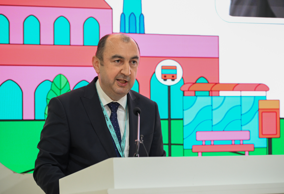 Nazir müavini: Ölkəmizdə plastik mənşəli tullantıların idarə olunmasında ciddi irəliləyişlər əldə edilib