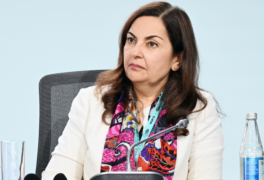 Sunniya Durrani-Camal: Düzgün planlaşdırma və risk məlumatları infrastruktur investisiyalarında həlledicidir