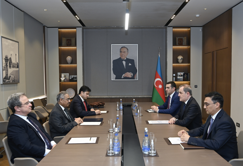L’activité menée par l’Azerbaïdjan au sein du D-8 depuis son adhésion est hautement appréciée