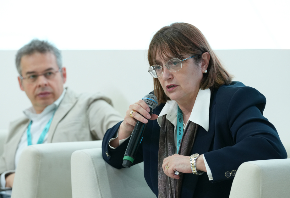 Nora Lombardini: Binaların yenilənməsi və əvəzlənməsi prosesində əmək bazarındakı transformasiyalar da nəzərə alınmalıdır
