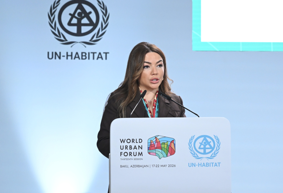 Aygün Əliyeva: Azərbaycanın ilk milli dayanıqlılıq təşəbbüslərinin və davamlı təcrübə standartlarının inkişafı diqqətəlayiqdir