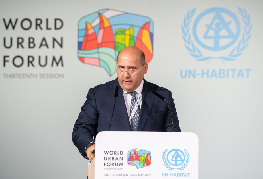 Emin Huseynov: The vast majority of electricity sources in Garabagh and East Zangezur stem from alternative energy
