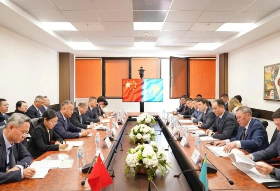 Kazakhstan and China to launch joint grain trading platform