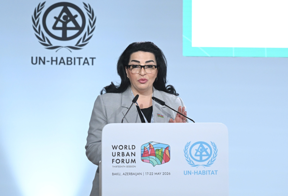 Deputat: Dayanıqlılıq cəmiyyətin gündəlik davranış mədəniyyətində də əks olunmalıdır