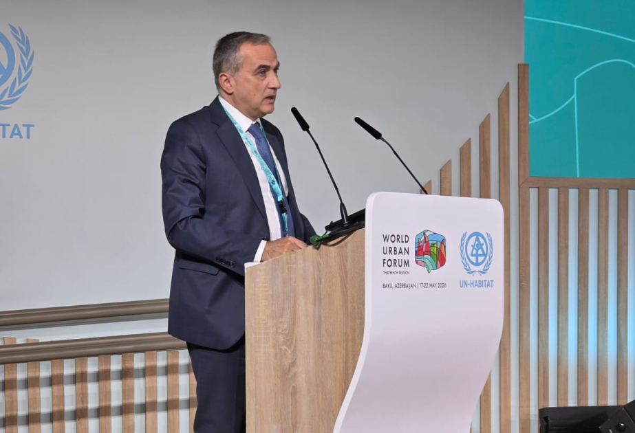 Presidente de AIR Center: “Azerbaiyán está desarrollando una amplia experiencia en reconstrucción en el período posterior al conflicto”